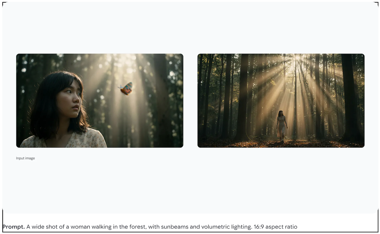 Controlo fotográfico profissional